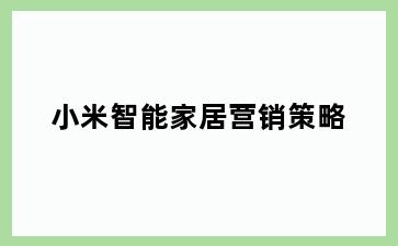 小米智能家居营销策略