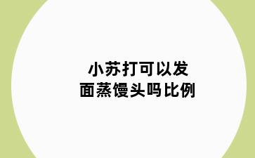小苏打可以发面蒸馒头吗比例