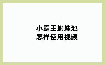 小霸王蜘蛛池怎样使用视频