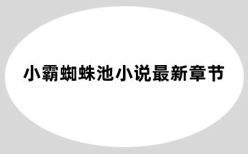 小霸蜘蛛池小说最新章节