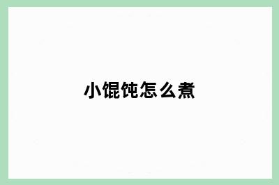 小馄饨怎么煮