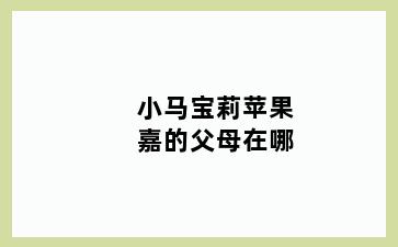 小马宝莉苹果嘉的父母在哪