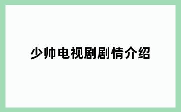 少帅电视剧剧情介绍