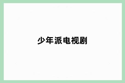 少年派电视剧