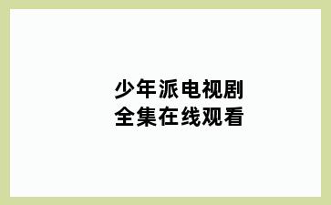 少年派电视剧全集在线观看