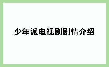 少年派电视剧剧情介绍