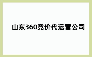 山东360竞价代运营公司