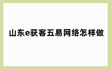 山东e获客五易网络怎样做