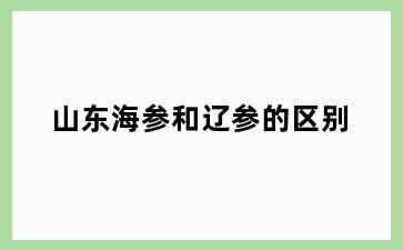 山东海参和辽参的区别