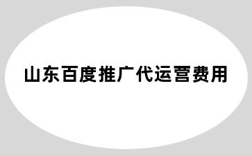 山东百度推广代运营费用
