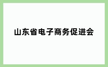 山东省电子商务促进会