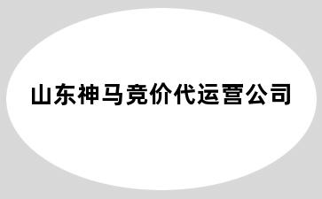 山东神马竞价代运营公司