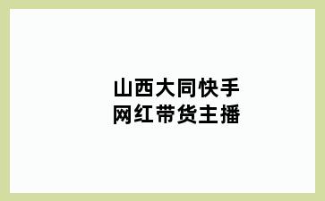 山西大同快手网红带货主播