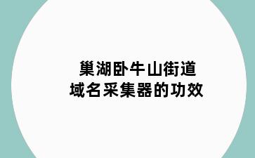 巢湖卧牛山街道域名采集器的功效