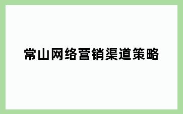常山网络营销渠道策略