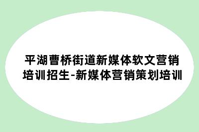 平湖曹桥街道新媒体软文营销培训招生-新媒体营销策划培训
