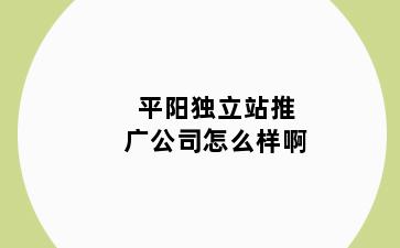 平阳独立站推广公司怎么样啊