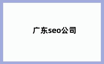 广东seo公司