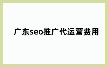 广东seo推广代运营费用