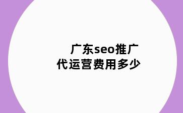 广东seo推广代运营费用多少
