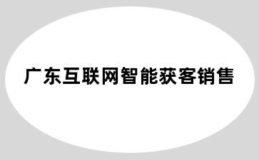 广东互联网智能获客销售