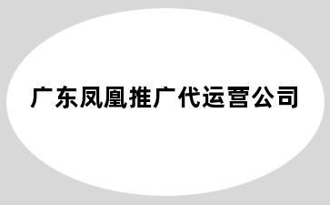 广东凤凰推广代运营公司