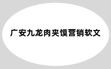 广安九龙肉夹馍营销软文