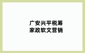 广安兴平税筹家政软文营销