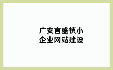 广安官盛镇小企业网站建设