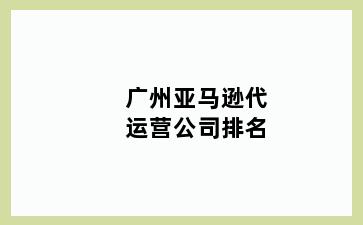 广州亚马逊代运营公司排名