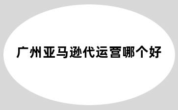 广州亚马逊代运营哪个好