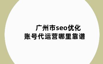 广州市seo优化账号代运营哪里靠谱