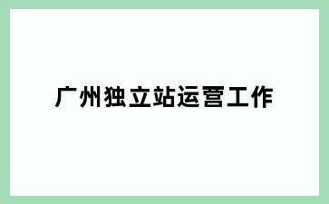 广州独立站运营工作