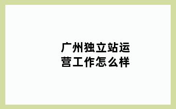 广州独立站运营工作怎么样