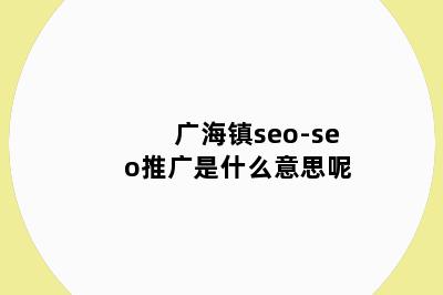 广海镇seo-seo推广是什么意思呢