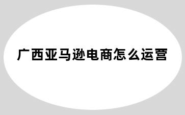 广西亚马逊电商怎么运营
