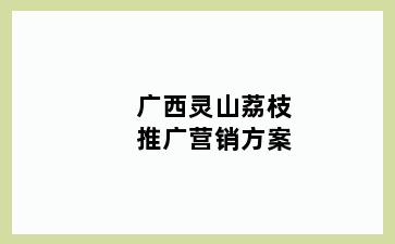 广西灵山荔枝推广营销方案