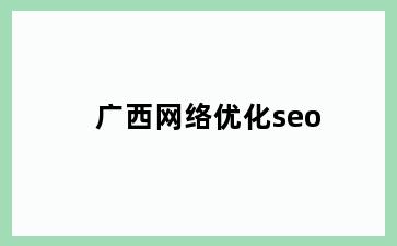 广西网络优化seo
