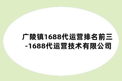 广陵镇1688代运营排名前三-1688代运营技术有限公司