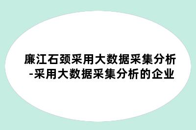 廉江石颈采用大数据采集分析-采用大数据采集分析的企业