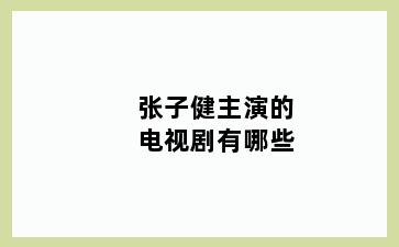 张子健主演的电视剧有哪些