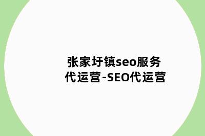 张家圩镇seo服务代运营-SEO代运营