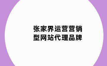 张家界运营营销型网站代理品牌