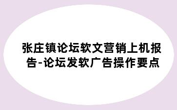 张庄镇论坛软文营销上机报告-论坛发软广告操作要点