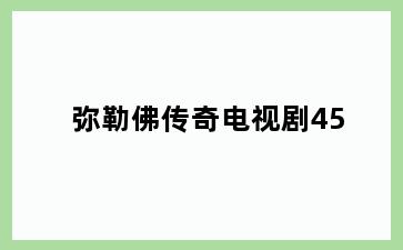 弥勒佛传奇电视剧45