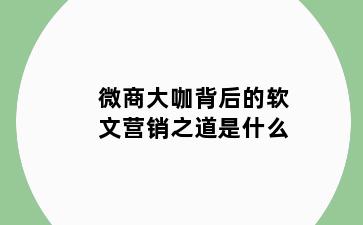 微商大咖背后的软文营销之道是什么