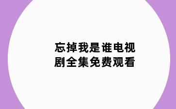 忘掉我是谁电视剧全集免费观看