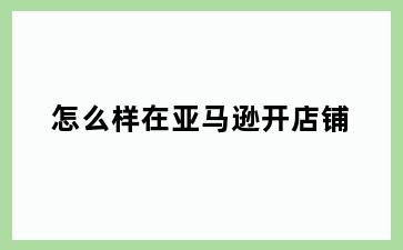 怎么样在亚马逊开店铺