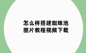 怎么样搭建蜘蛛池图片教程视频下载