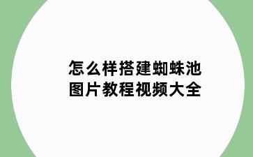 怎么样搭建蜘蛛池图片教程视频大全